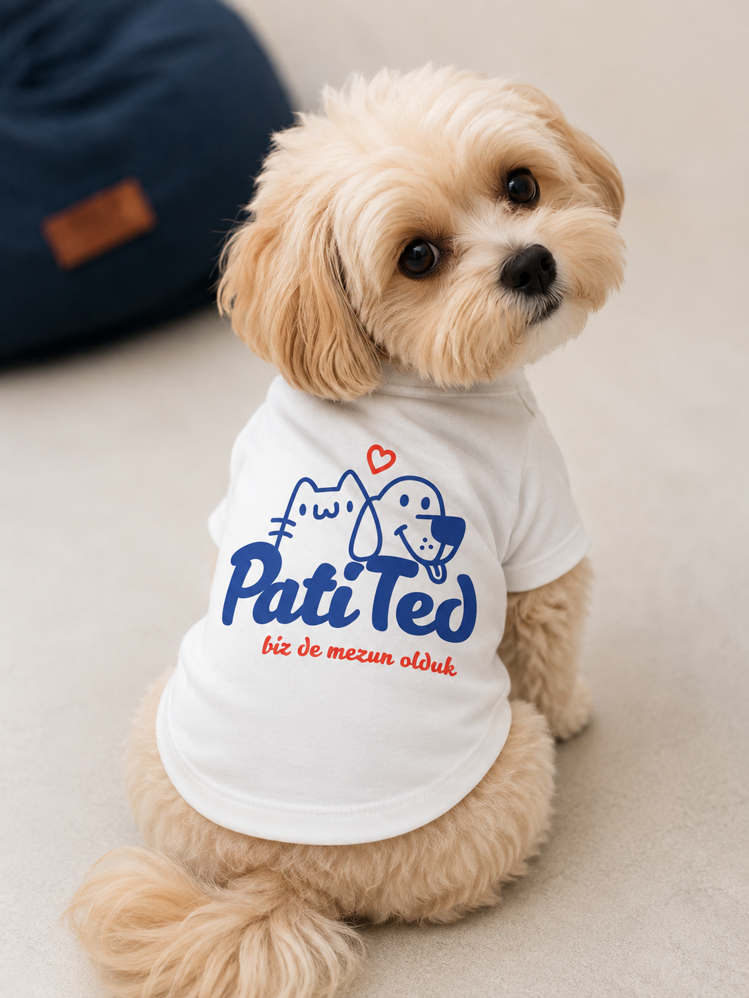 PATİ TED YELEĞİ